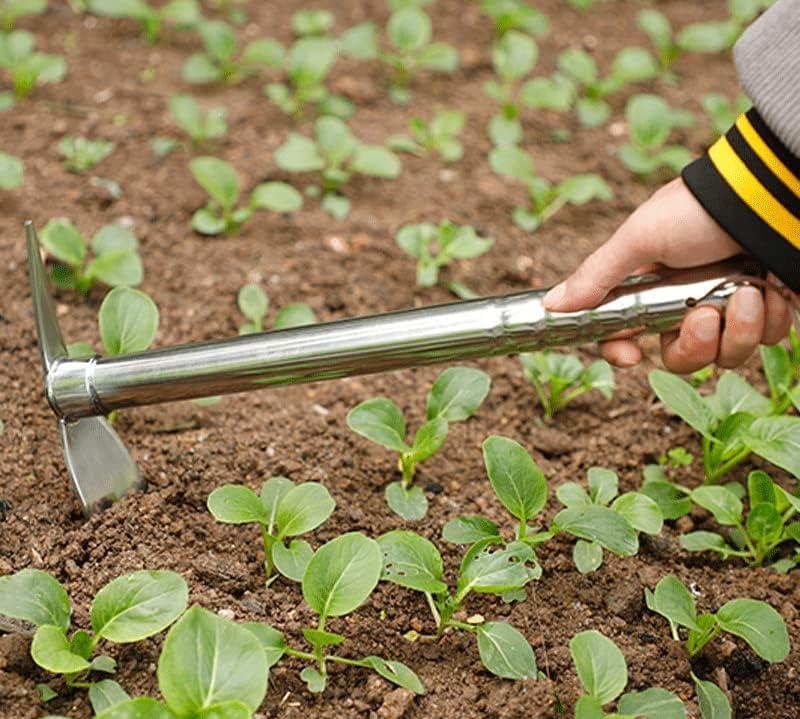 2 in 1 Garden Hoe and Pickaxe  - Gardening Tools Images บทวิจารณ์และราคา