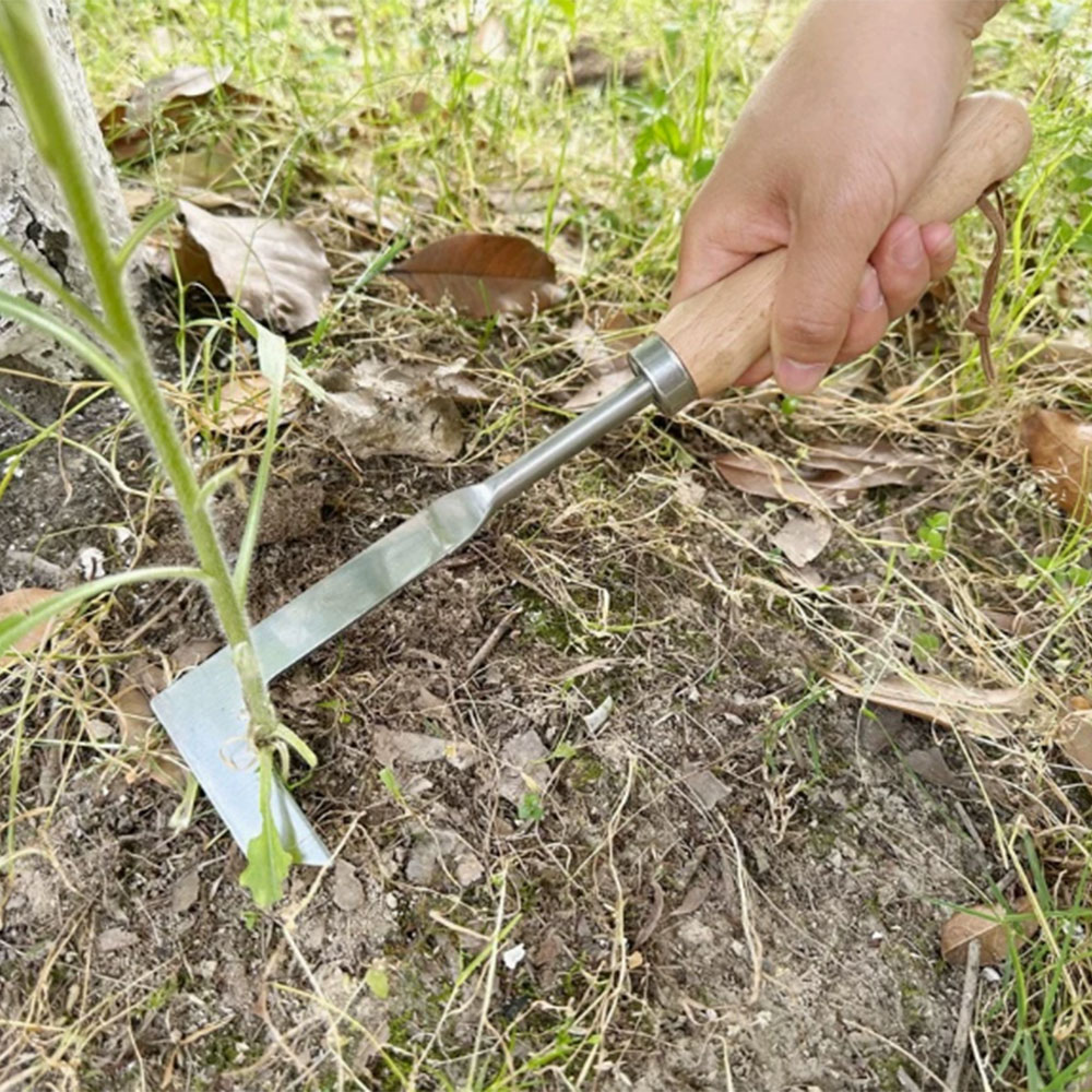 Stainless Steel Gap Weeding To - Gardening Tools Used บทวิจารณ์และราคา
