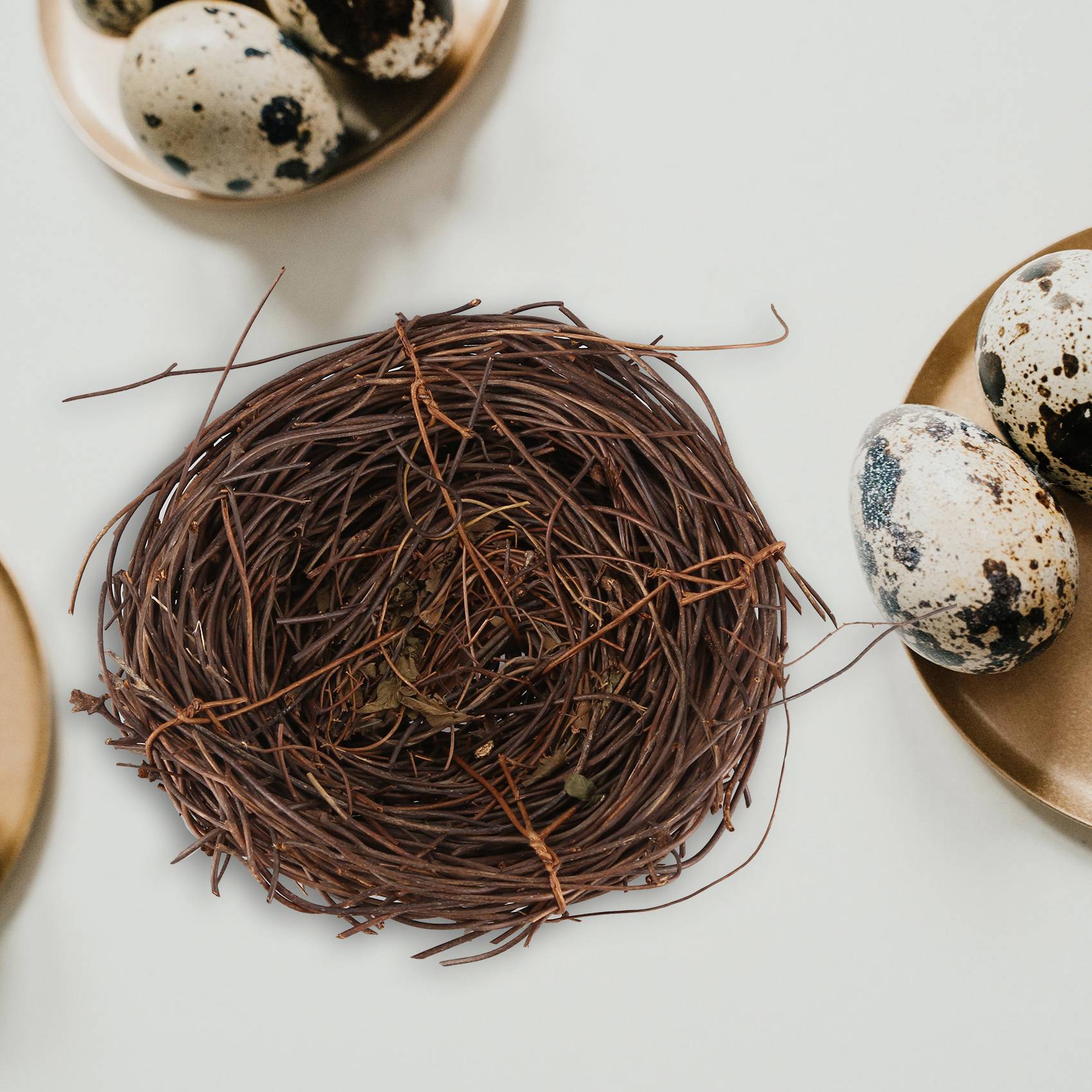 REST Handmade Vine Bird Nest H - Gardening Tools Photo บทวิจารณ์และราคา