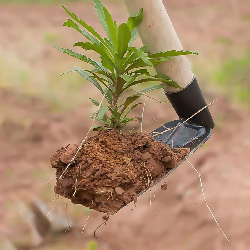 Digging Soil Small Hoe used in - Gardening Tools Used บทวิจารณ์และราคา