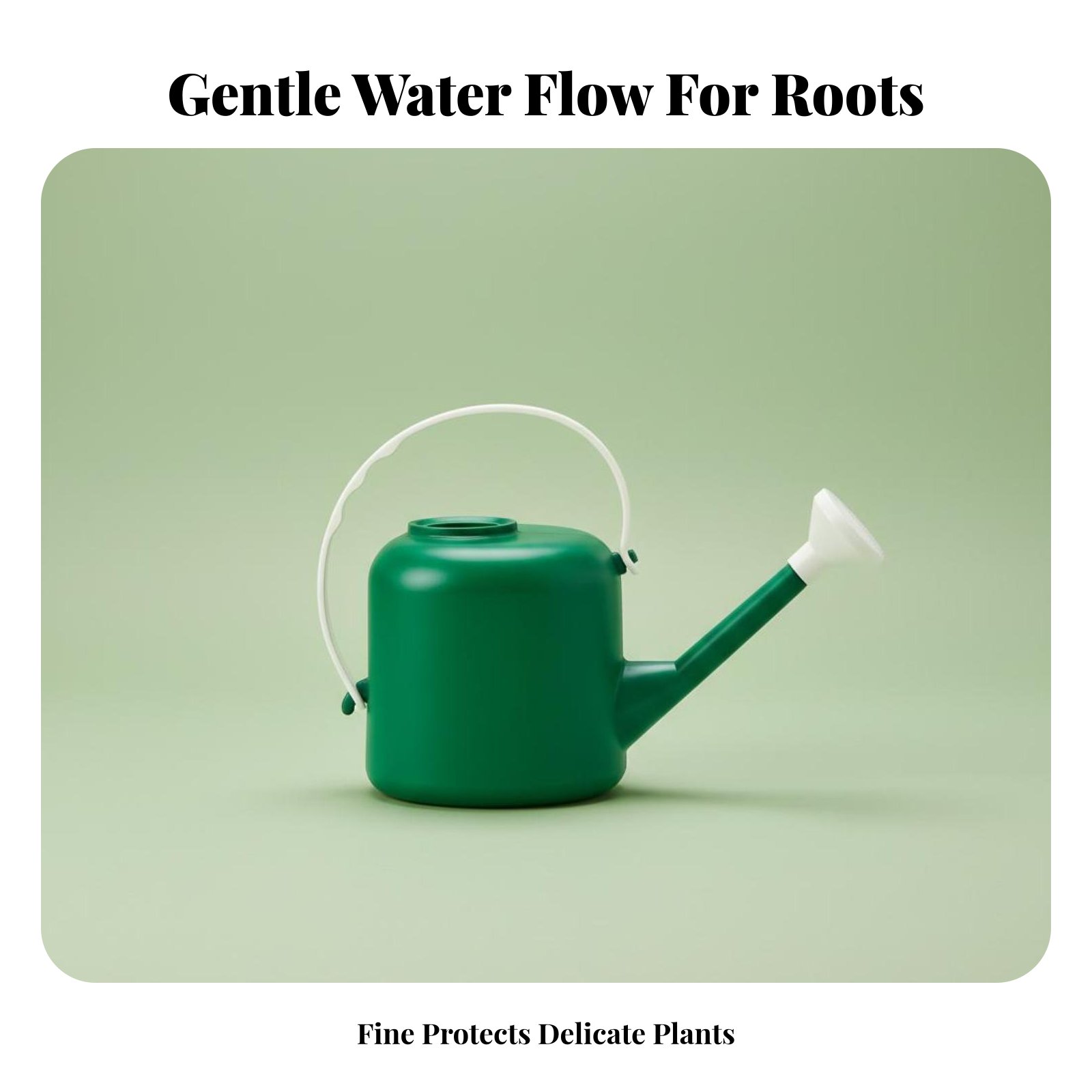 Long Spout Watering Can Large  - Watering Can Long Spout บทวิจารณ์และราคา