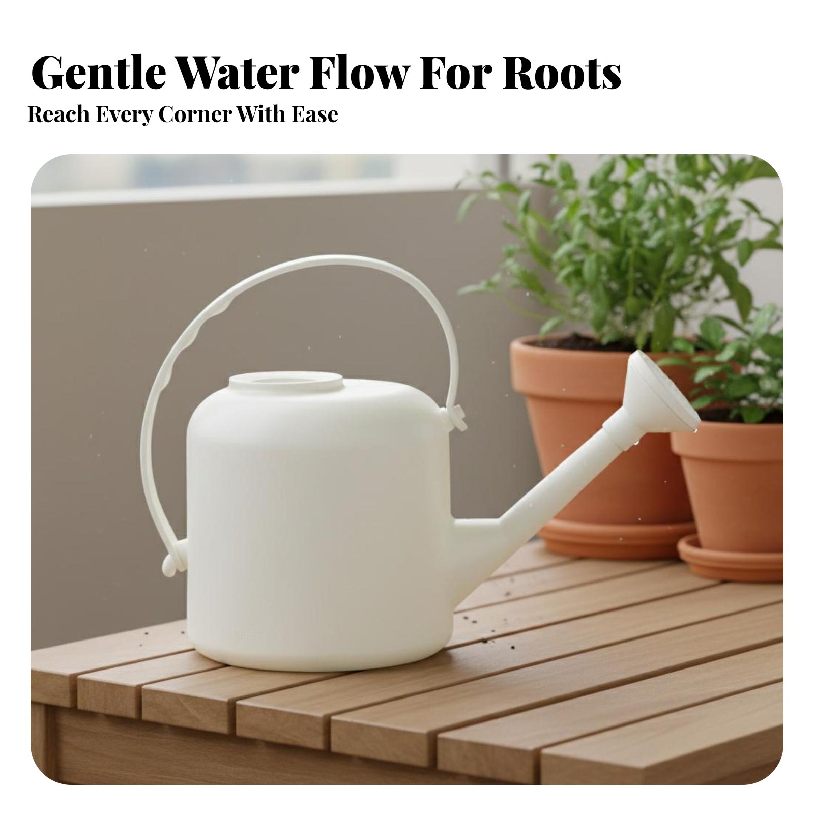 Long Spout Watering Can Large  - Watering Can Long Spout บทวิจารณ์และราคา