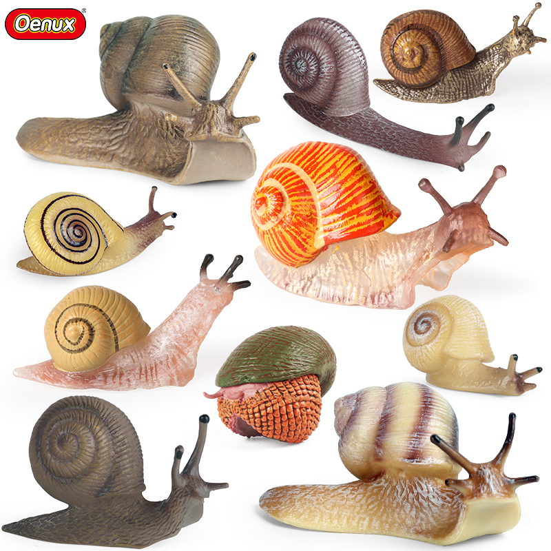 Oenux Wild Insect Animals Snai - Gardening Tools Box บทวิจารณ์และราคา