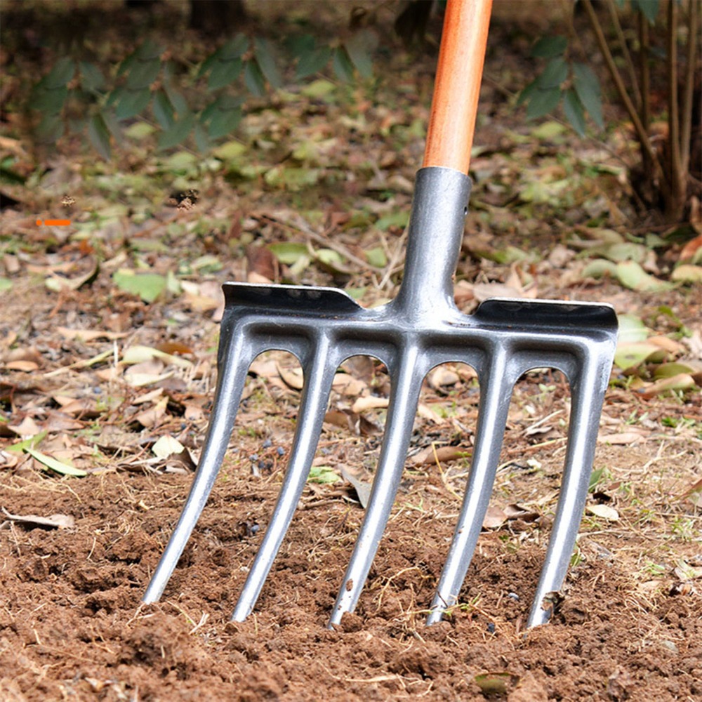Sturdy High Carbon Steel Diggi - Spade Digging Fork บทวิจารณ์และราคา