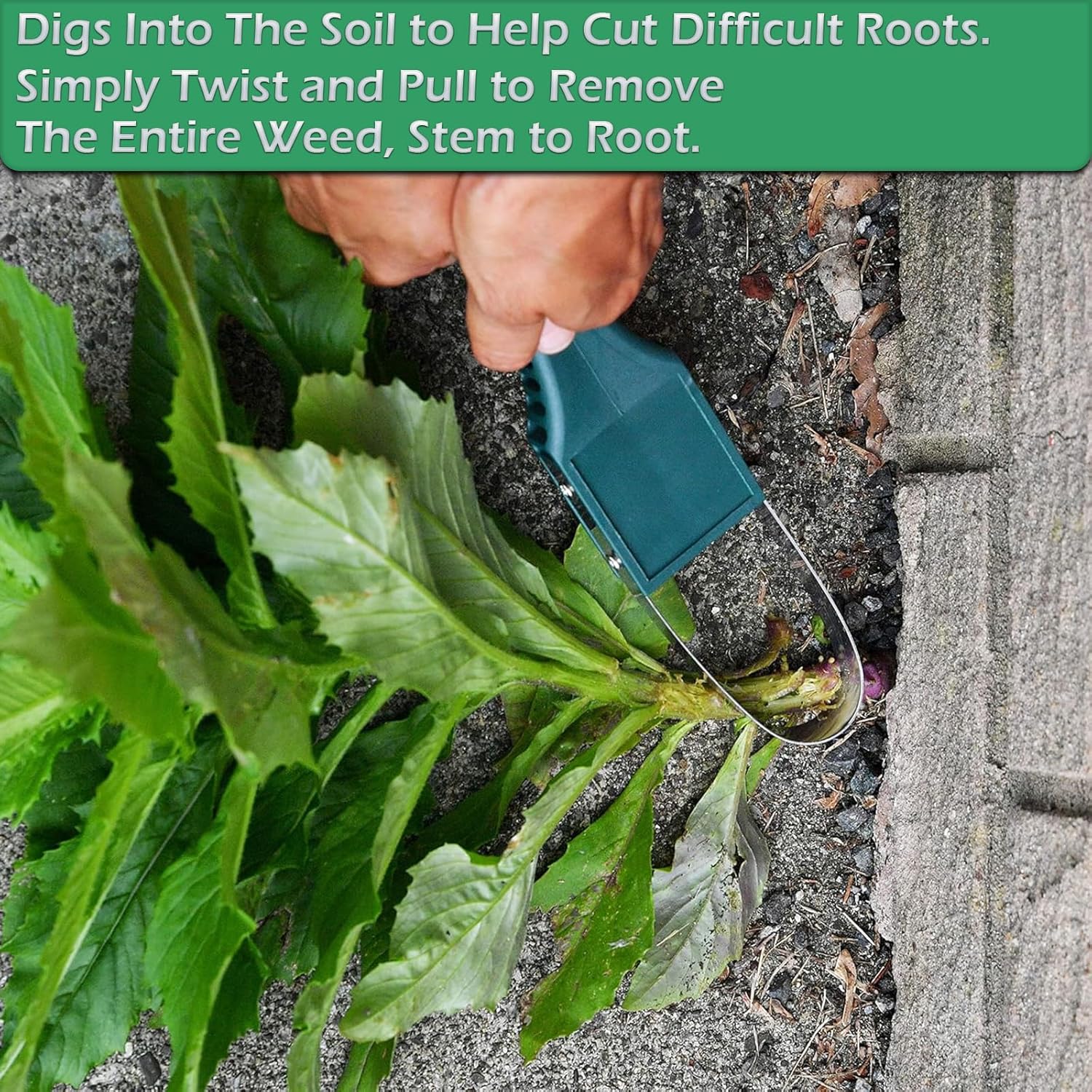Weed Puller Tool for Gardening - Gardening Tools Images บทวิจารณ์และราคา