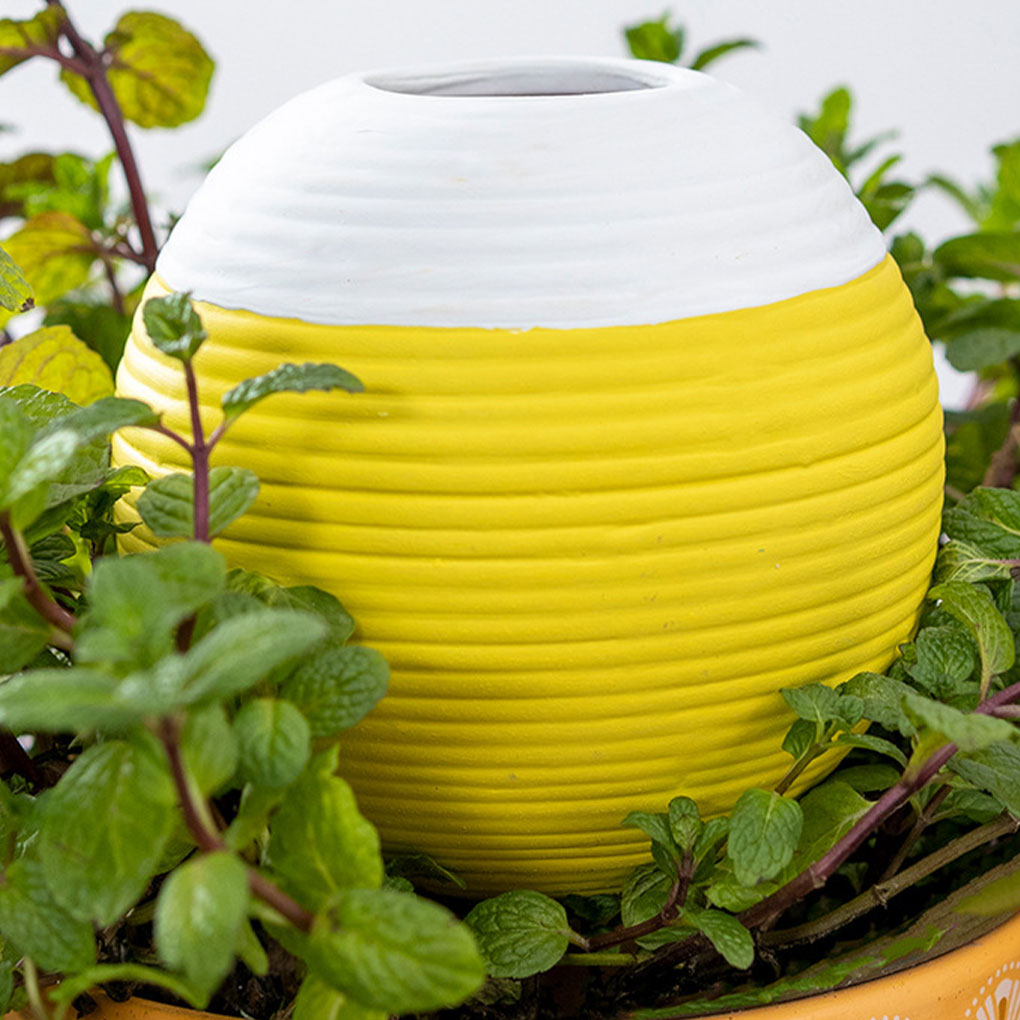Ceramics Automatic Plant Water - Gardening Tools Must Haves บทวิจารณ์และราคา