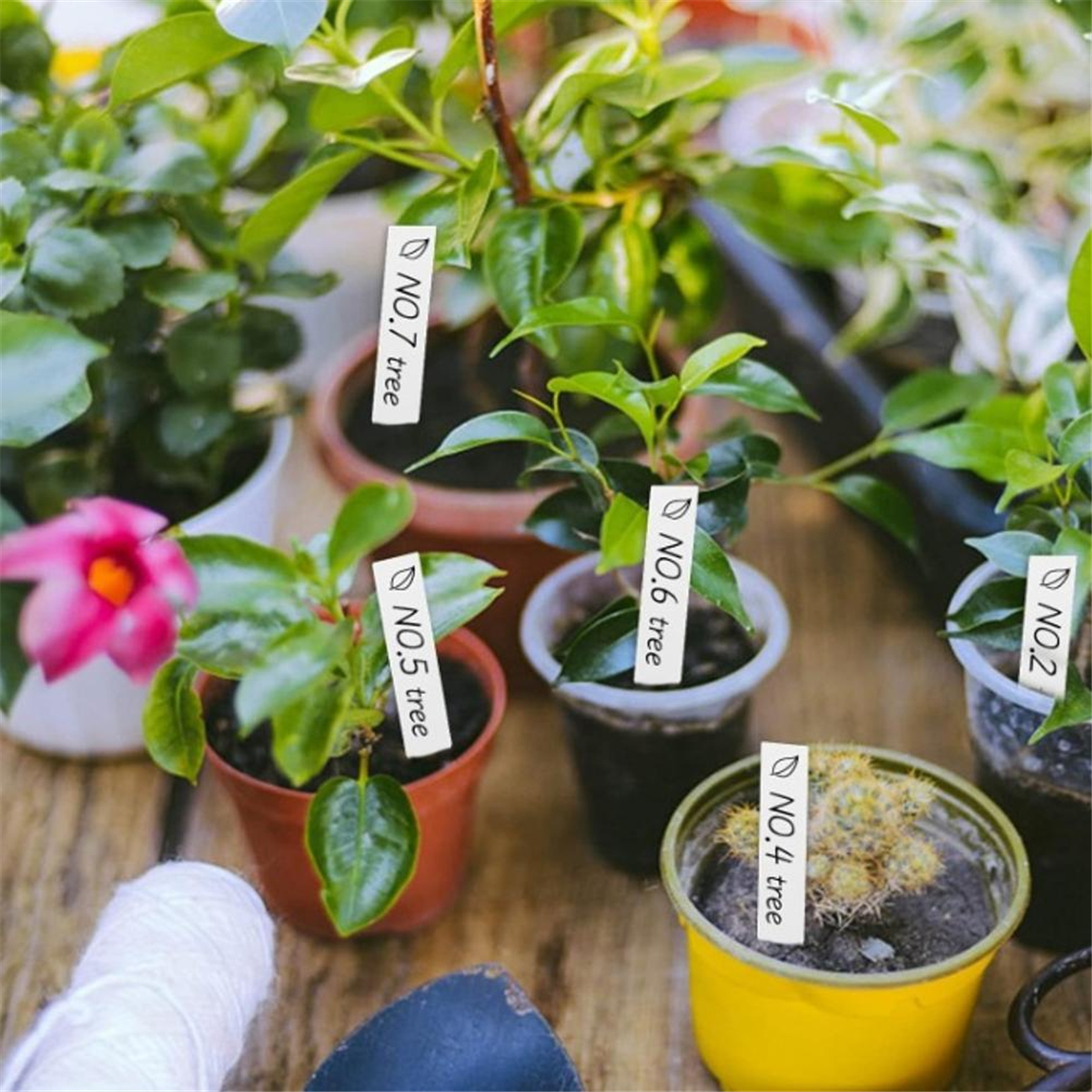 【Must-haves】Gardening tool - Gardening Tools Must Haves บทวิจารณ์และราคา