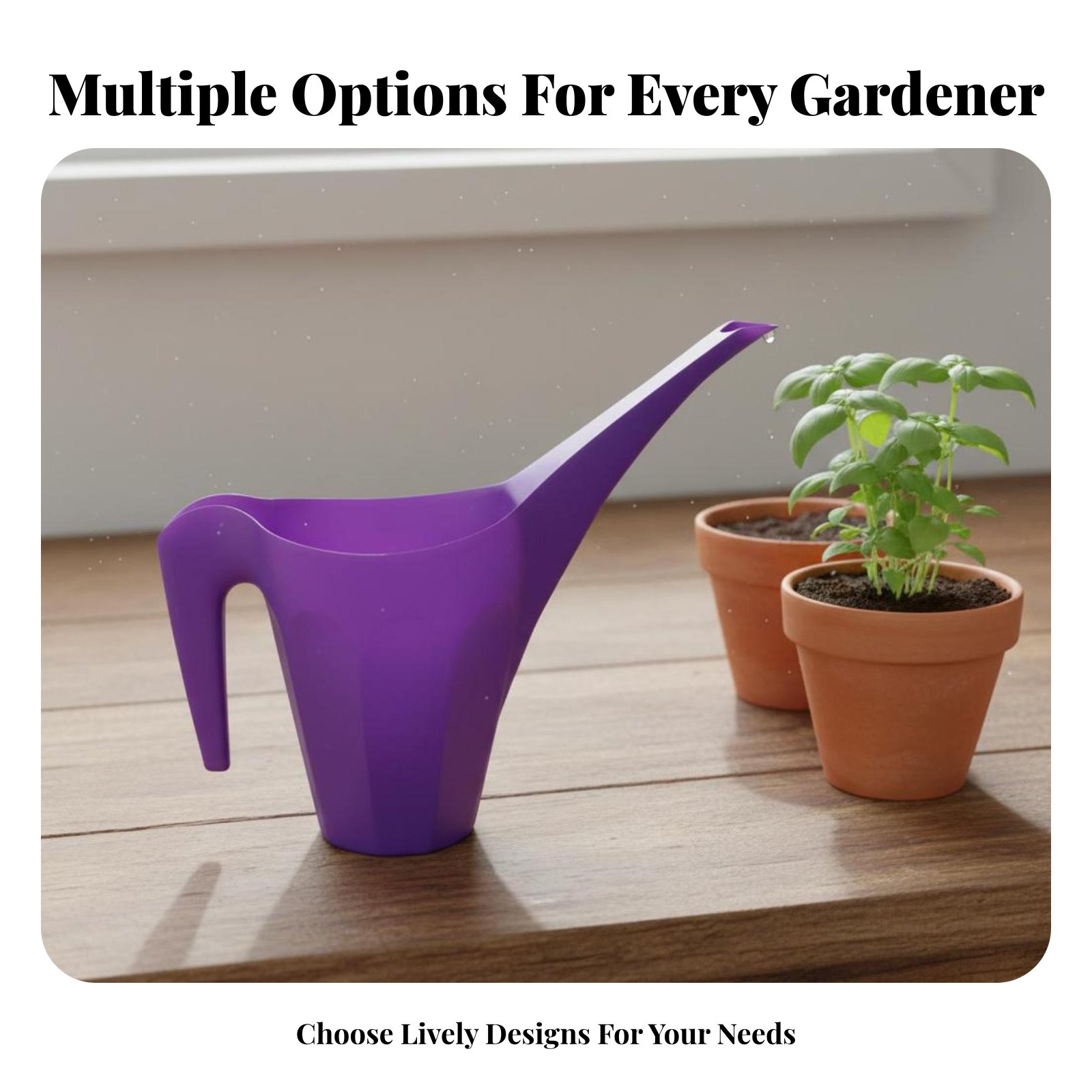 Plastic Watering Can with Spri - Watering Can Long Spout บทวิจารณ์และราคา