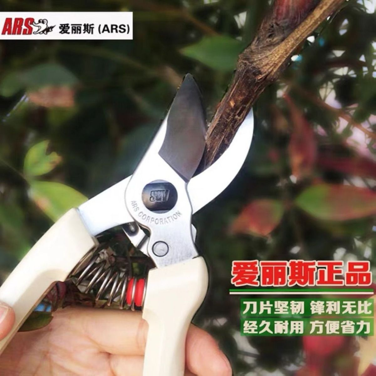 Pruning scissors, garden tools - Gardening Tools In Japan บทวิจารณ์และราคา