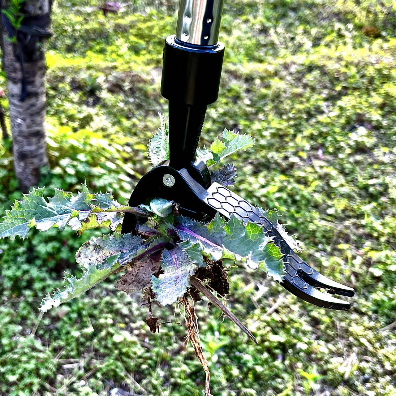Save Labour Hand Metal Weed Ex - Gardening Tools Needed บทวิจารณ์และราคา
