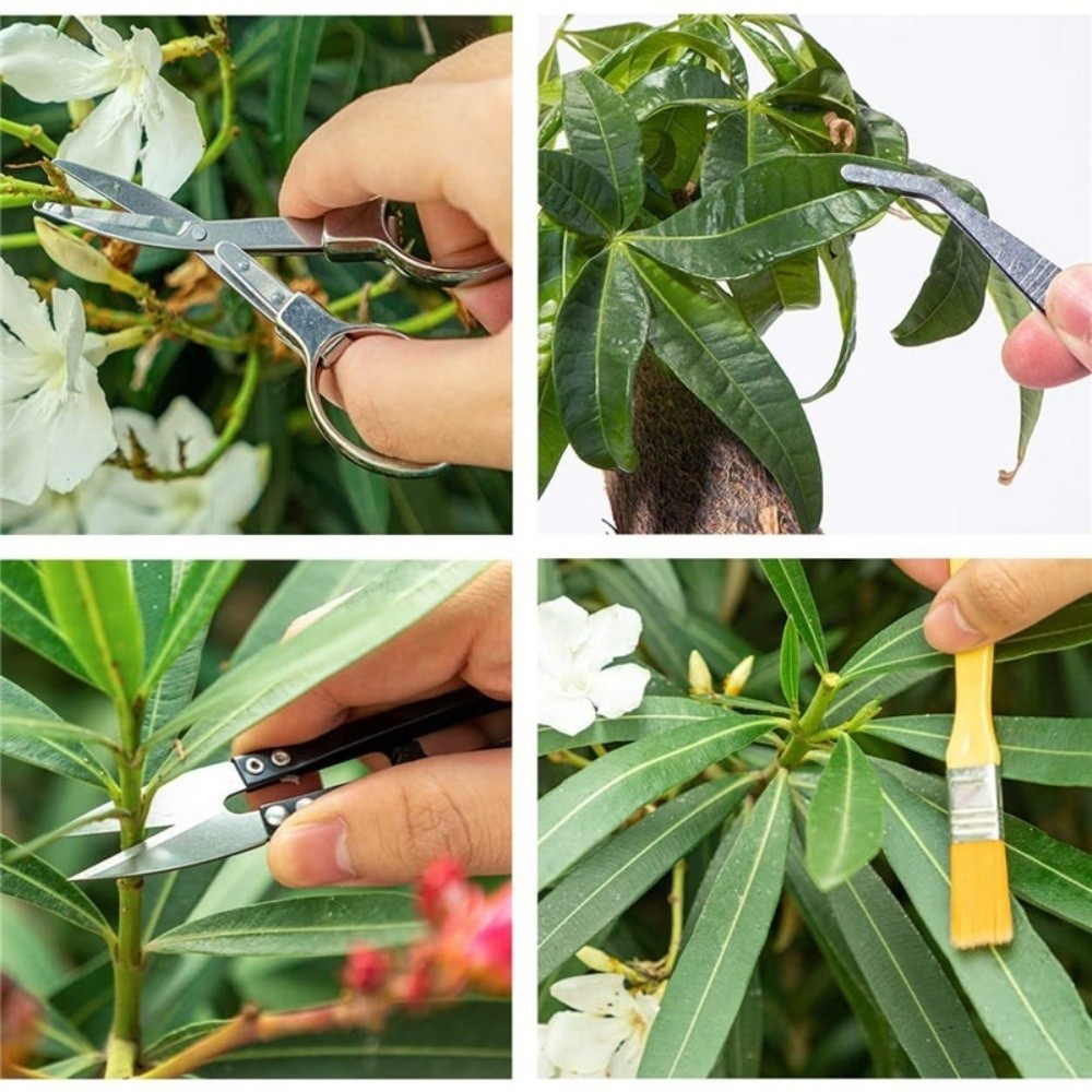 Multi-functional Mini Garden P - Spade Digging Fork บทวิจารณ์และราคา