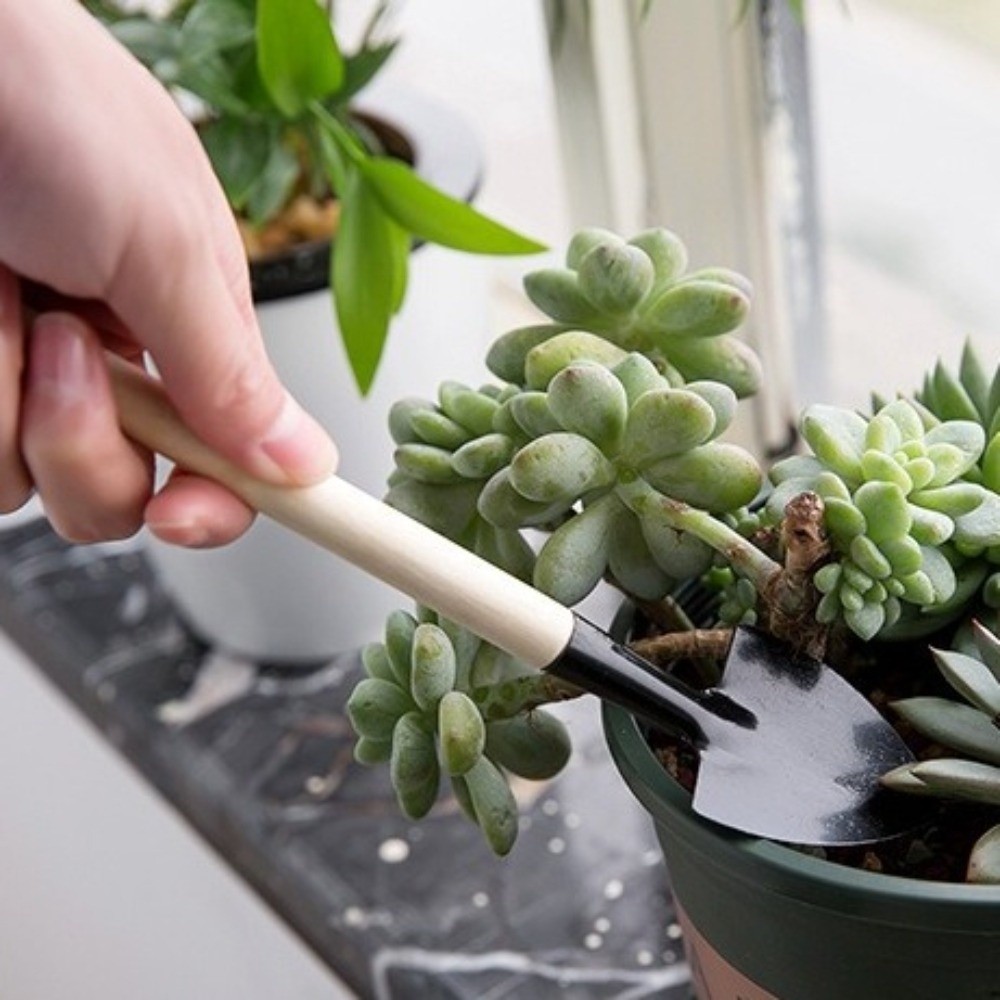 Multi-functional Mini Garden P - Spade Digging Fork บทวิจารณ์และราคา