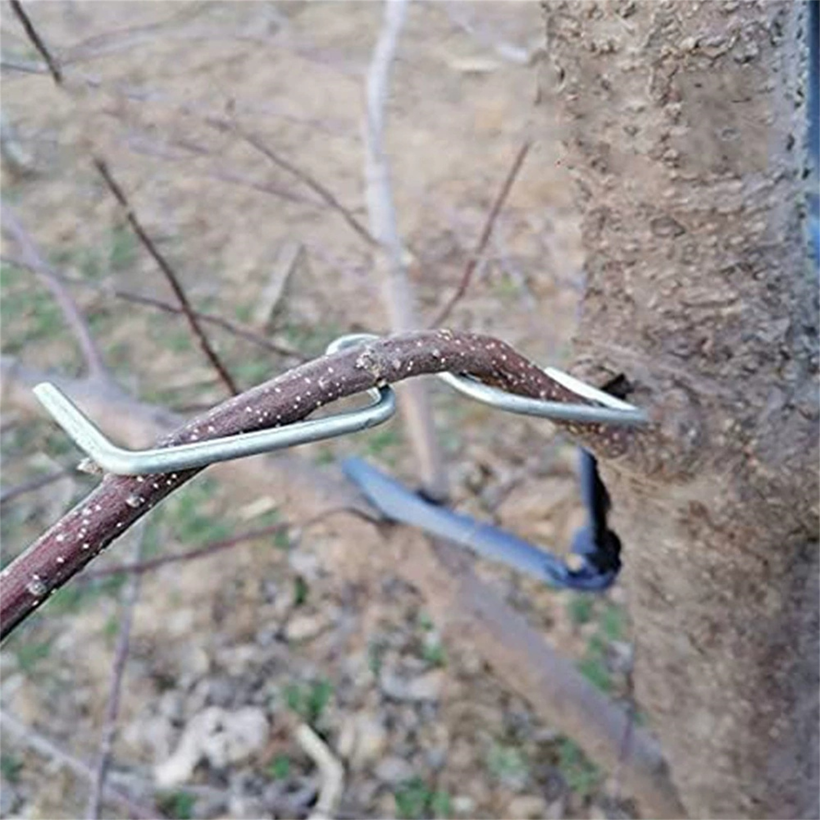 Fruit Tree Branch Bender Metal - Gardening Tools Must Haves บทวิจารณ์และราคา