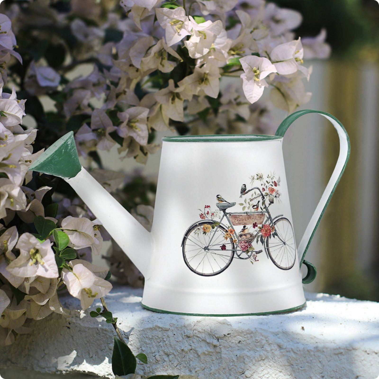 Long Spout Watering Can Rustic - Watering Can Long Spout บทวิจารณ์และราคา