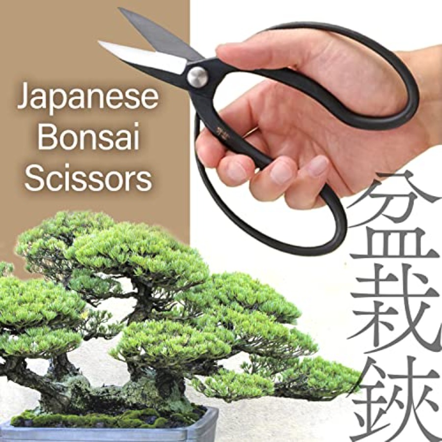Japanese Suiryu Bonsai Scissor - Gardening Tools In Japan บทวิจารณ์และราคา