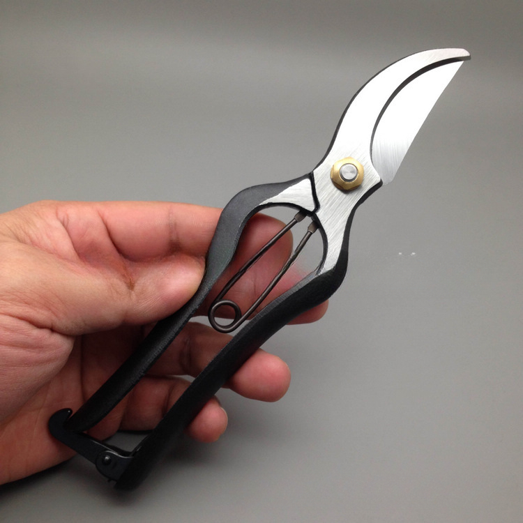 200MM Branch Scissors, Importe - Gardening Tools In Japan บทวิจารณ์และราคา