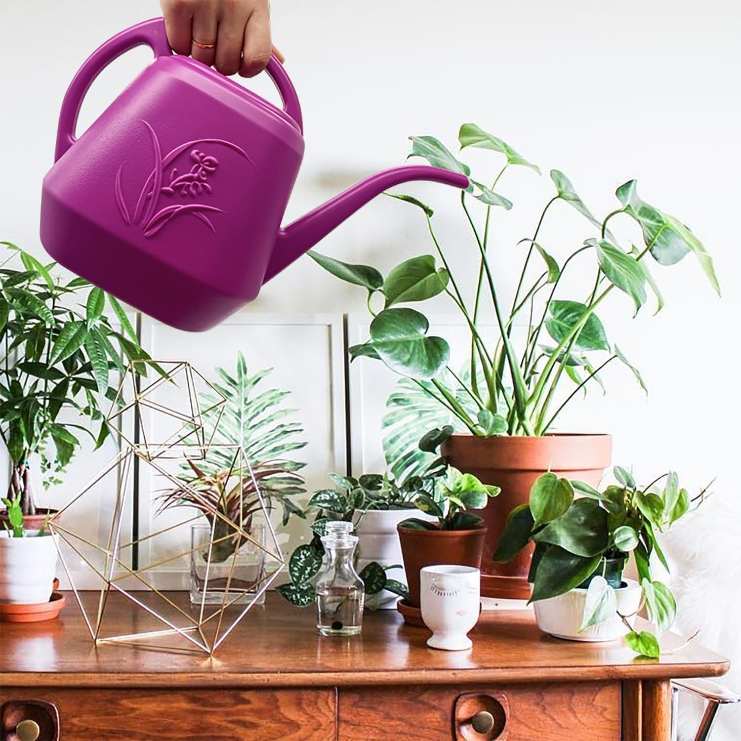Plant Watering Can 1/2 Gallon  - Watering Can Long Spout บทวิจารณ์และราคา