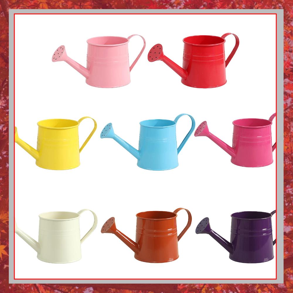 Flower Long Spout Water Can fo - Watering Can Long Spout บทวิจารณ์และราคา