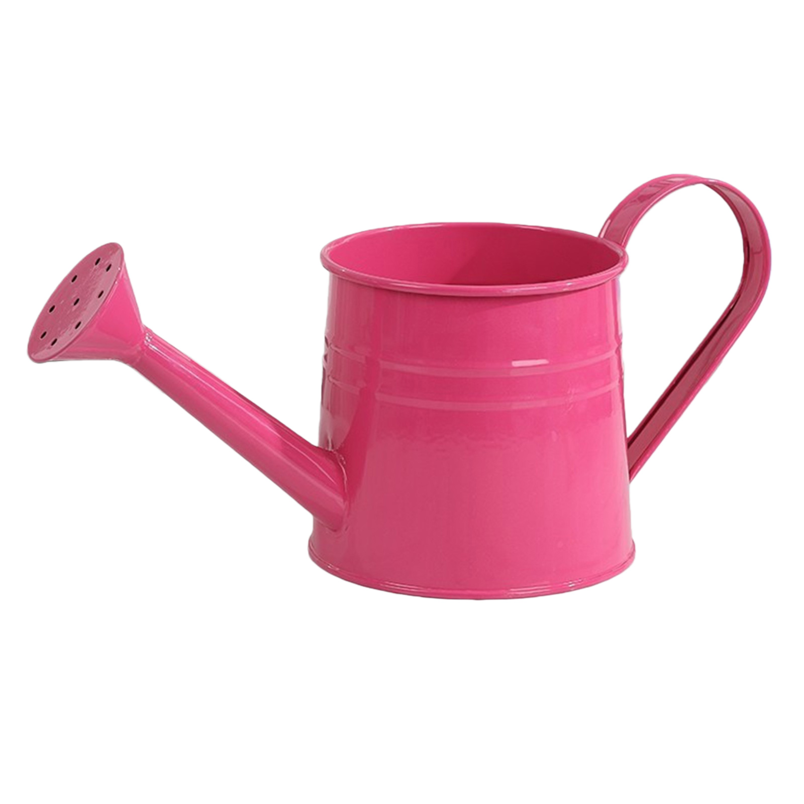 Flower Long Spout Water Can fo - Watering Can Long Spout บทวิจารณ์และราคา