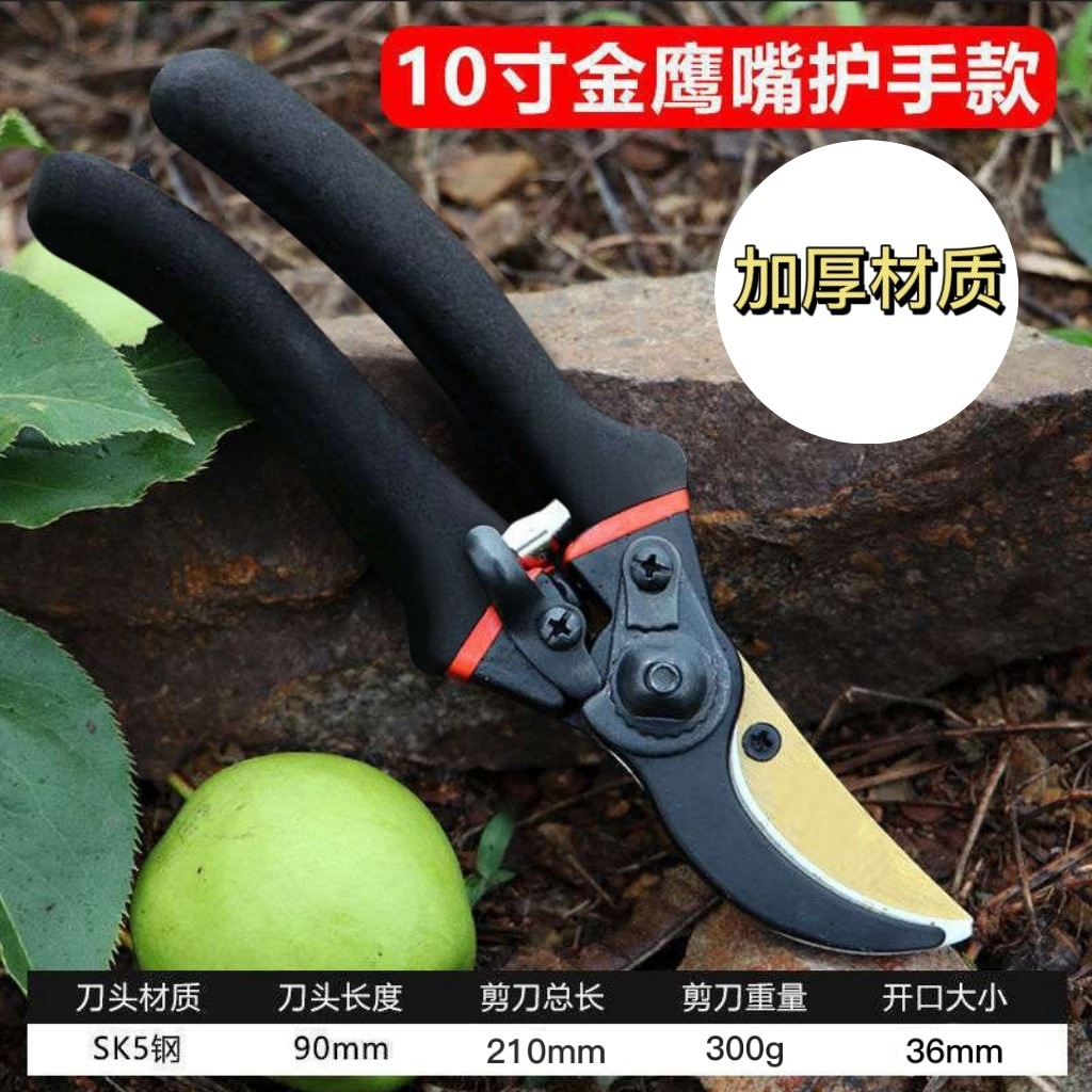 Japan Thickened SK5 Steel Bran - Gardening Tools In Japan บทวิจารณ์และราคา
