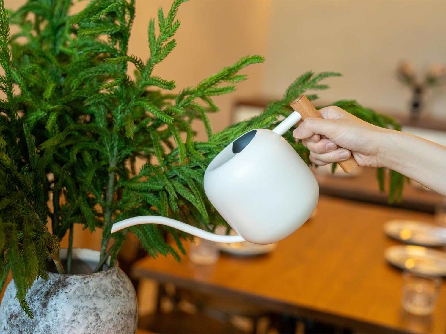 1.2L/41oz Metal Watering Can w - Watering Can Long Spout บทวิจารณ์และราคา