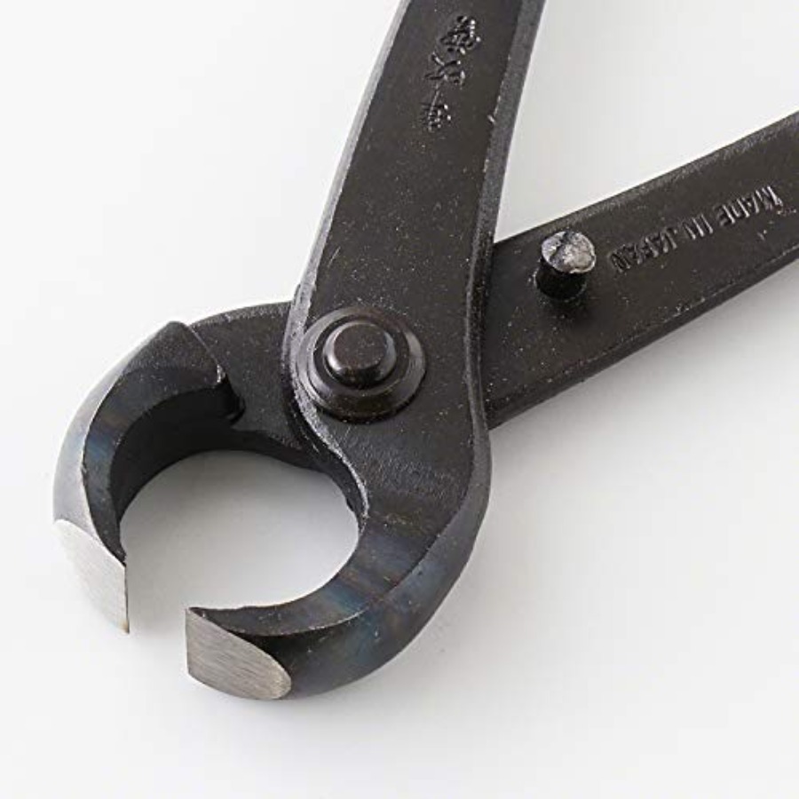Hand Forged Bonsai Tree Trunk  - Gardening Tools In Japan บทวิจารณ์และราคา