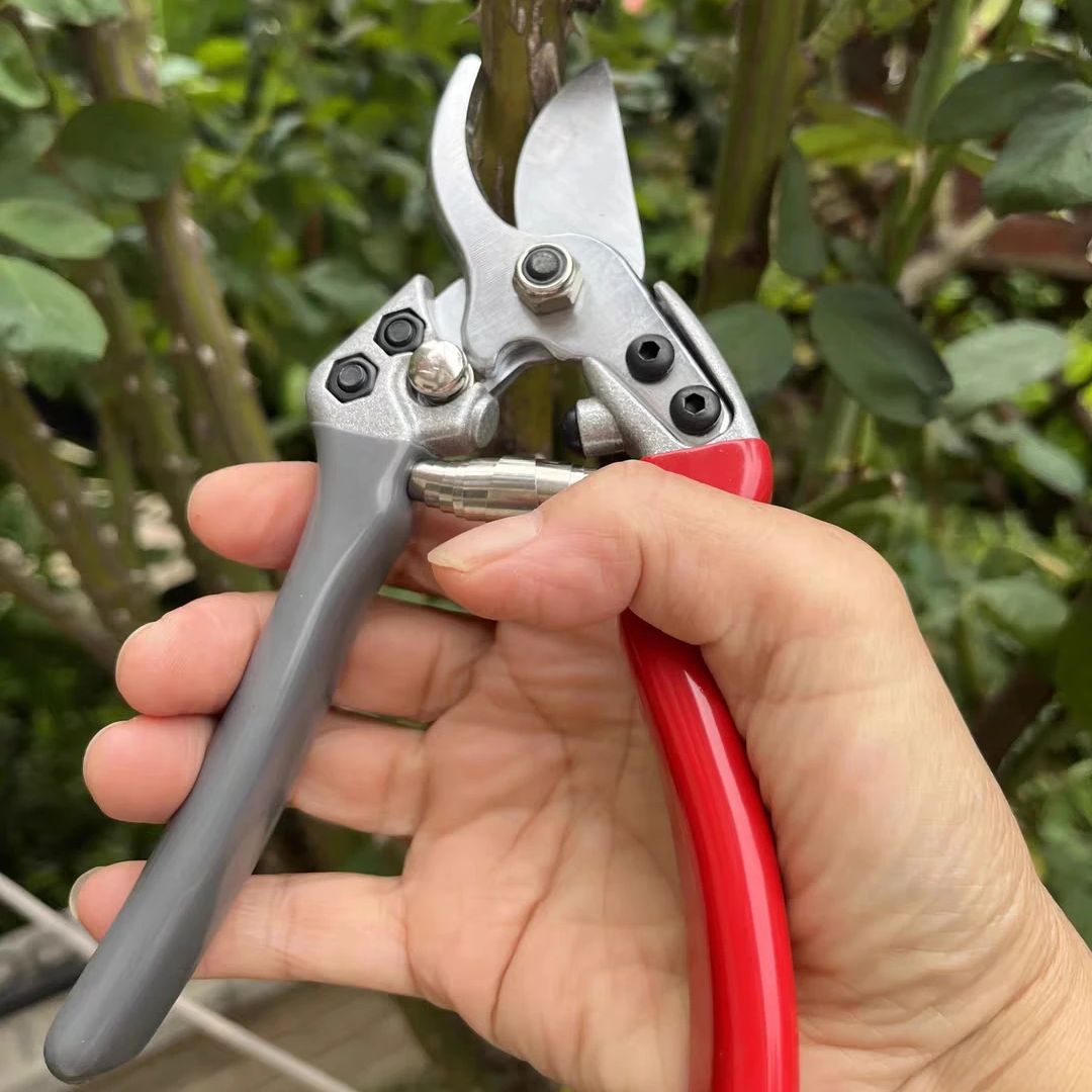 Japan Vvt New Sk5 Strong Garde - Gardening Tools In Japan บทวิจารณ์และราคา