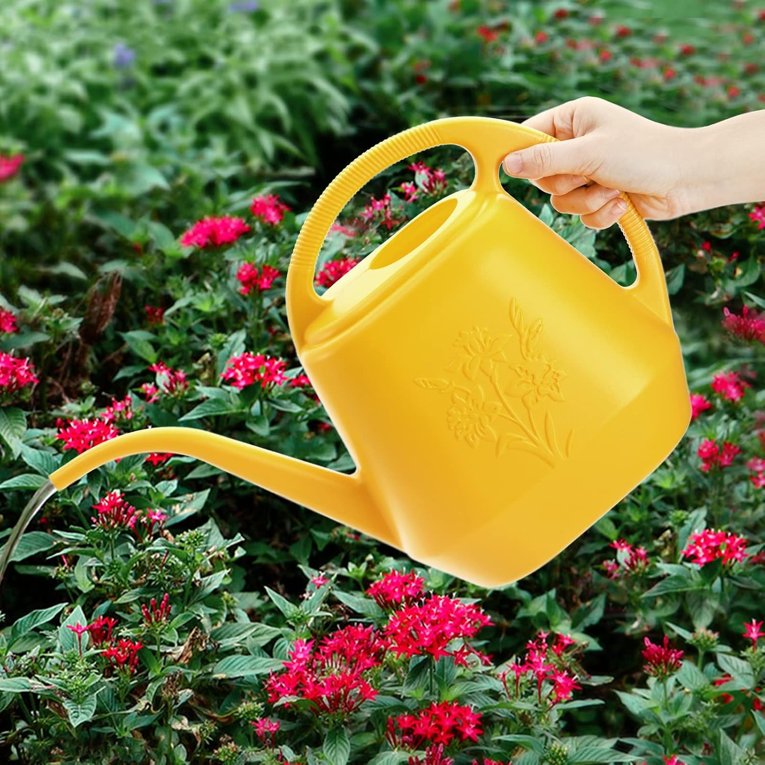 1-Gallon Plastic Watering Can  - Watering Can Long Spout บทวิจารณ์และราคา